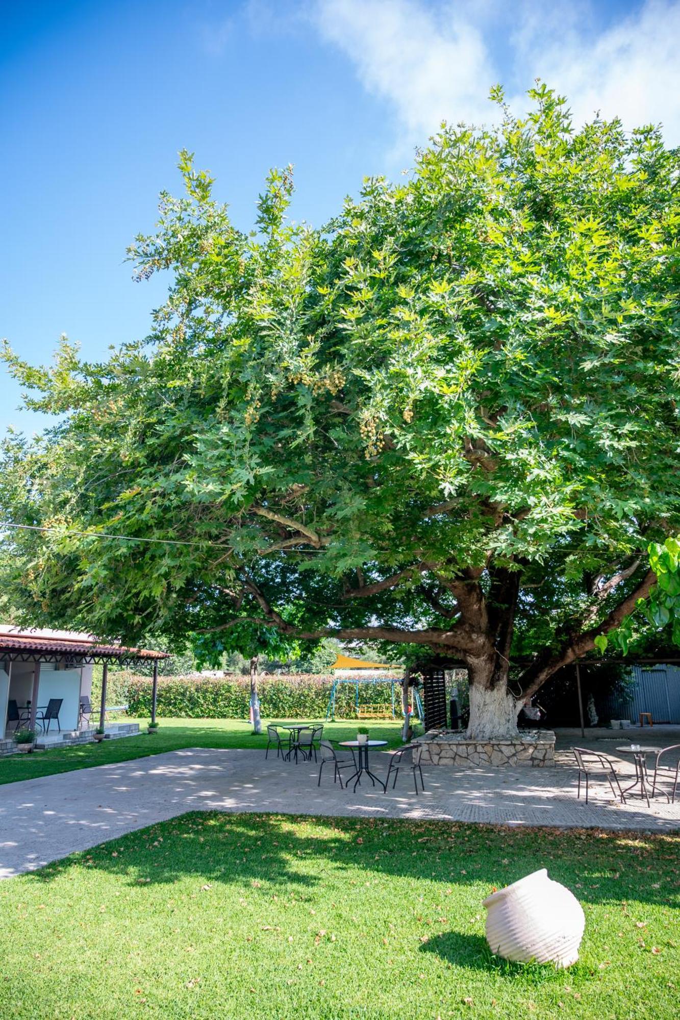Paradisos Prévéza Extérieur photo